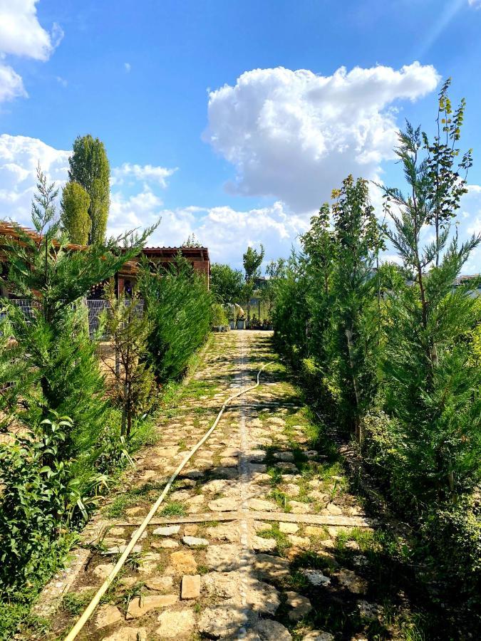 Blerina Farm House Laknas Exterior photo